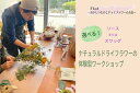 【ふるさと納税】選べる!ナチュラルドライフラワーの体験型ワークショップ【花・ドライフラワー・贈り物・プレゼント・手作り】