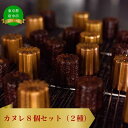 【ふるさと納税】カヌレ8個セット(2種)【カヌレ・焼菓子・洋菓子・ギフト・贈り物・お返し】