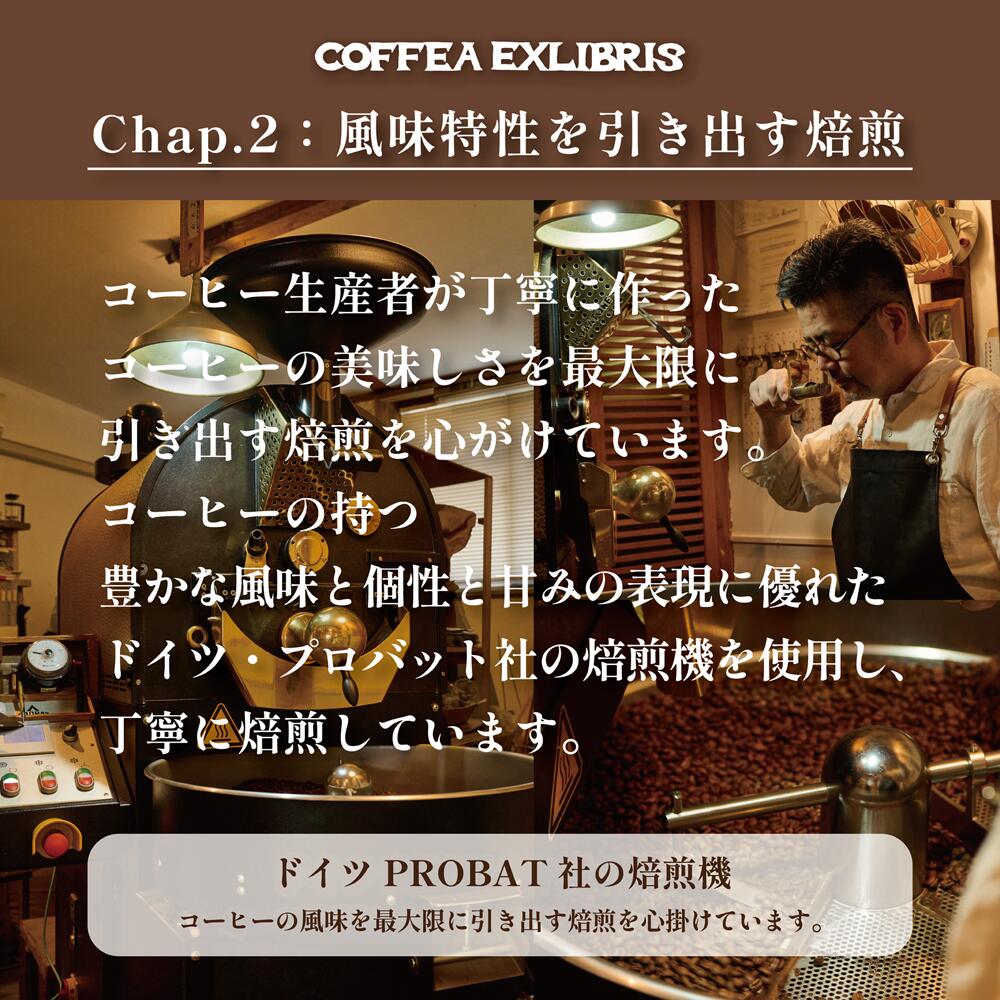 【ふるさと納税】COFFEA EXLIBRIS スペシャルティコーヒー 150g×3種セット【豆または粉】【飲料類・コーヒー・珈琲】