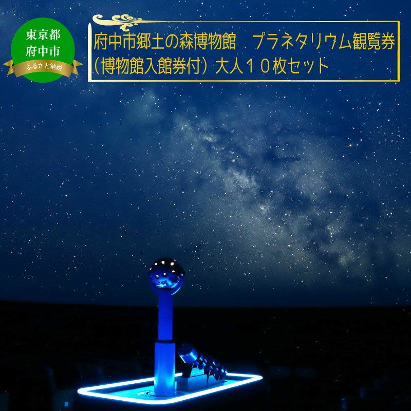 【ふるさと納税】府中市郷土の森博物館・プラネタリウム観覧券(入館券付き)10枚セット(大人用)【体験チケット】