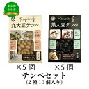 【ふるさと納税】テンペセット（2種10個入り）【加工食品・納豆・大豆・グルメ・発酵】