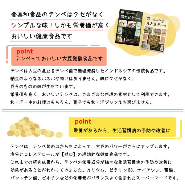 【ふるさと納税】テンペセット（2種10個入り）【加工食品・納豆・大豆・グルメ・発酵】