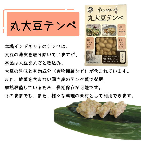 【ふるさと納税】テンペセット（2種10個入り）【加工食品・納豆・大豆・グルメ・発酵】 3