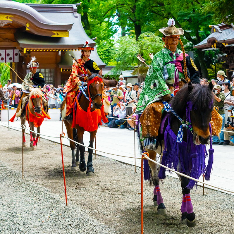 【ふるさと納税】2024年6月16日「府中流鏑馬」ペア観覧席ご招待【流鏑馬・やぶさめ・馬・観覧席・体験型】 2