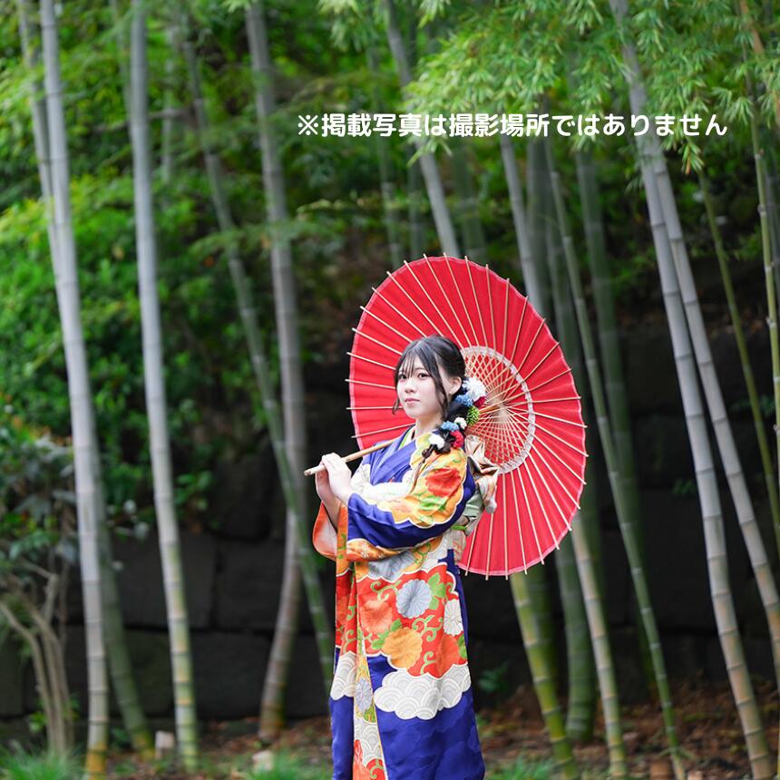 【ふるさと納税】 成人式撮影プラン シンプル 深大寺 | 体験 体験チケット 写真 写真撮影 前撮り 後撮り カメラマン フォト 思い出 記念 出張撮影 ロケーション撮影 成人式 成人 お祝い 成長 二十歳 成長 お寺 ファミリーフォトリビング 調布 東京都 f132080-chofu-10000237 東京都調布市 サンプル画像2