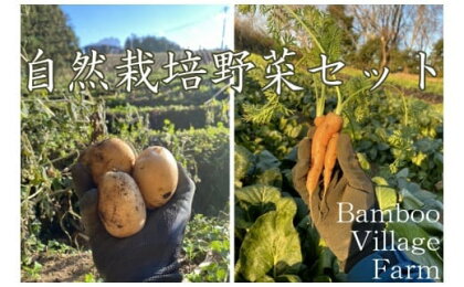 Bamboo Village Farm　自然栽培で育てた町田野菜セット