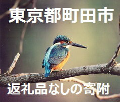 東京都町田市 返礼品なし(寄附のみの受付となります)