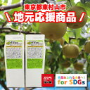 【ふるさと納税】東村山SDGs多摩湖梨シロップ 6本セット【1421457】