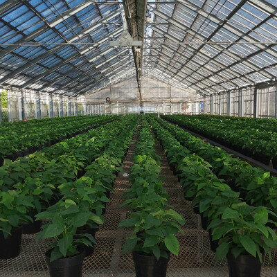 東京都国分寺市の画像3