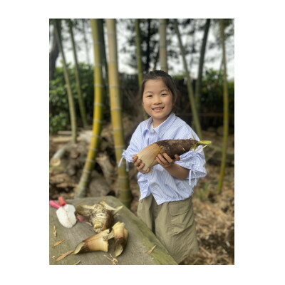 【ふるさと納税】【季節限定】たけのこ堀とカフェおきもとランチ　体験型チケット【1597224】のサムネイル