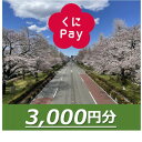 【ふるさと納税】国立市デジタル地域通貨『くにPay』3,000ポイント【1582539】