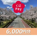 【ふるさと納税】国立市デジタル地域通貨『くにPay』6,000ポイント【1587148】