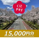 【ふるさと納税】国立市デジタル地域通貨『くにPay』15,000ポイント【1587150】