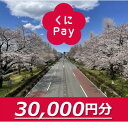 【ふるさと納税】国立市デジタル地域通貨『くにPay』30,000ポイント【1587151】