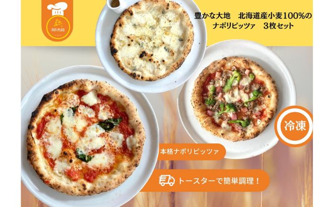 【ふるさと納税】豊かな大地 北海道産 小麦100% ナポリピッツァ 3枚セット　【 加工品 惣菜 冷凍 ピザ 冷凍ピザ 洋食 軽食 おやつ ランチ マルゲリータ クアトロフォルマッジ 365ピッツァ 】