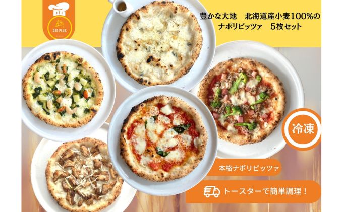 【ふるさと納税】豊かな大地 北海道産 小麦100% ナポリピッツァ 5枚セット　【 惣菜 ピザ 冷凍ピザ 軽食 ランチ マルゲリータクアトロフォルマッジ 365ピッツァ テリヤキチキン ジェノベーゼ 】