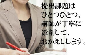 【ふるさと納税】通信講座 新・色えんぴつ で アート （教具あり） コース 学び 趣味 レッスン 習い事 【 学び 趣味 レッスン 大人 社会人 習い事 老後 休日 お家時間 大人の習い事 大人の趣味 絵 】