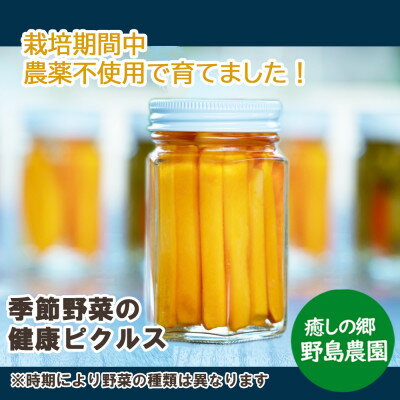 【ふるさと納税】【東京都東久留米市】季節の野菜を詰め込んだ健康ピクルス 150g×1本【1461146】