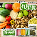 【ふるさと納税】〈2025年6月〜8月発送 冷蔵便〉【東京都東久留米市】旬野菜と加工品のセット 10品以上【配送不可地域:離島】【1536310】
