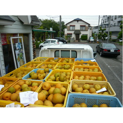 東京都稲城市の画像3