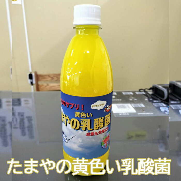 たまやの黄色い乳酸菌 500ml / 小型淡水魚用 ビタミンB群 冬用 送料無料 東京都