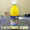 11位! 口コミ数「0件」評価「0」No.097 たまやの黄色い乳酸菌　500ml ／ 小型淡水魚用 ビタミンB群 冬用 送料無料 東京都