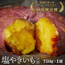 6位! 口コミ数「0件」評価「0」No.098 冷凍焼き芋　塩やきいも　★全国やきいもグランプリ受賞（750g×1袋） ／ 焼芋 当店人気No.1 桜島溶岩石 自然解凍可 絶･･･ 