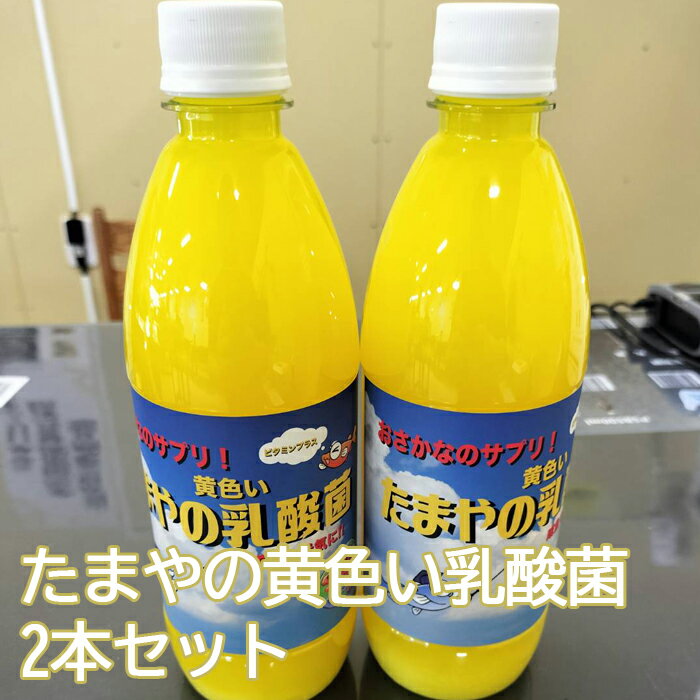 たまやの黄色い乳酸菌 500ml 2本セット / 小型淡水魚 エサ 日照量不足 ビタミン 送料無料 東京都