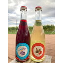 【ふるさと納税】甘味果実酒 2本セット【1449504】(4)