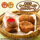 【ふるさと納税】秋川キーマカレーパン2個+パウンドケーキ(2種ランダム)【配送不可地域:離島】【1497074】