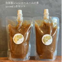 【ふるさと納税】【スパイスカレー専門店/山のスパイス】 自家製ジンジャーエールの素 2本セット【配送不可地域:離島】【1521357】