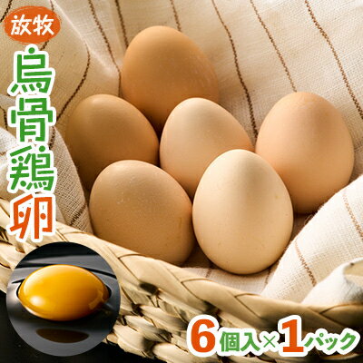 【ふるさと納税】放牧烏骨鶏卵 6個入×1パック【トリゾーファーム】【配送不可地域:離島】【1522296】