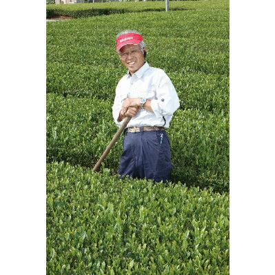 東京都瑞穂町の画像3