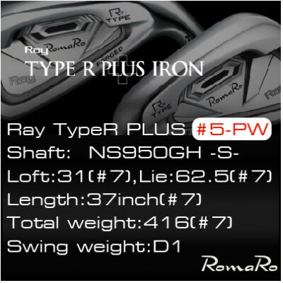【ふるさと納税】RomaRo Ray Type R PLUS Iron #5-PW NS950S 6本セット【1569706】