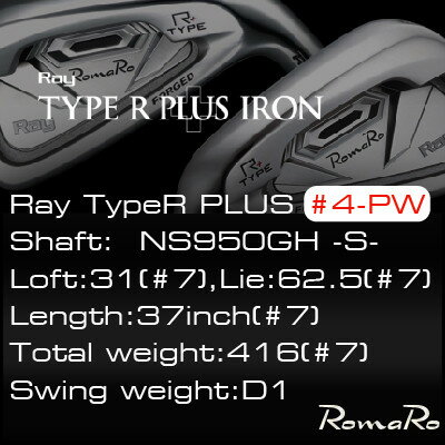 【ふるさと納税】RomaRo Ray Type R PLUS Iron #4-PW NS950S 7本セット【1569708】