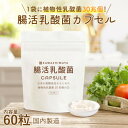 【ふるさと納税】日本の発酵食品からとれた「腸活乳酸菌カプセル」60粒×1袋(1袋:18g)【1620198】