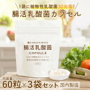 【ふるさと納税】日本の発酵食品からとれた「腸活乳酸菌カプセル」60粒×3袋(1袋:18g)セット【1620199】
