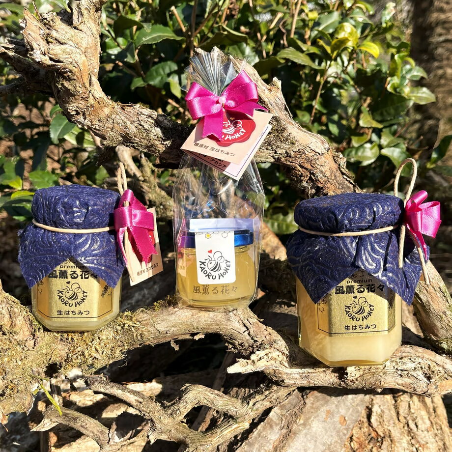 【ふるさと納税】「生ハチミツ 薫るはちみつ 風薫る花々 190g瓶」（中サイズ）送料無料 | 国産 はちみつ 入り 非加熱 家庭用 自宅用 蜂蜜 生はちみつ ハチミツ 通販 免疫 健康 朝食 | 東京 檜原村