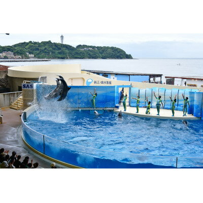 新江ノ島水族館入場券×3枚【1487090】