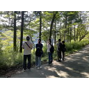 【ふるさと納税】箱根のビーチでKOMOREBIチルツアー【1529262】