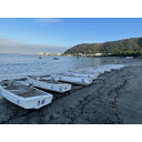 【ふるさと納税】【釣りワークショップ】手漕ぎボートで行く初心者向け魚釣り体験 2名様【1596852】