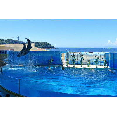 【ふるさと納税】新江ノ島水族館大人ペア入場券【1597759】