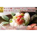 【ふるさと納税】中とろ3種・赤身食べ比べセットと一番摘み海苔で楽しむ手巻き寿司セット05-14【複数個口で配送】【配送不可地域:離島】【4012464】