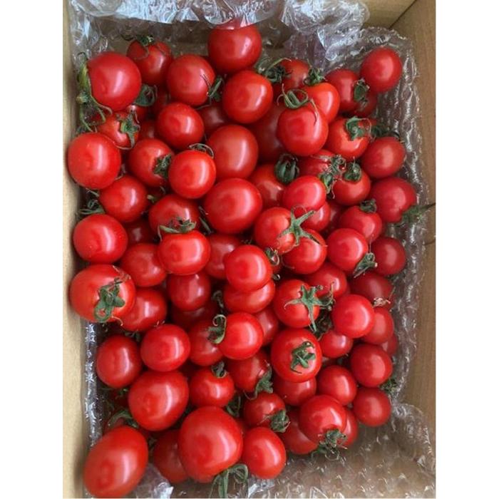 3位! 口コミ数「0件」評価「0」横浜育ち 『Thanks TOMATO』フルーツミニトマト | 野菜 やさい 食品 人気 おすすめ 送料無料 数量限定