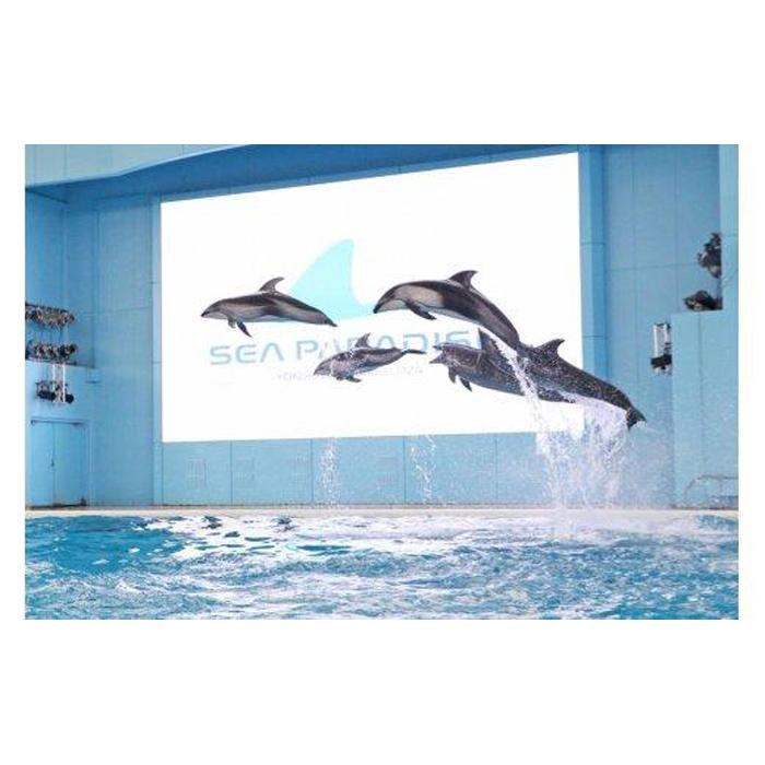 横浜・八景島シーパラダイス ワンデーパス(水族館4施設+アトラクション)大人2名さま+小中学生1名さま | 券 人気 おすすめ 送料無料