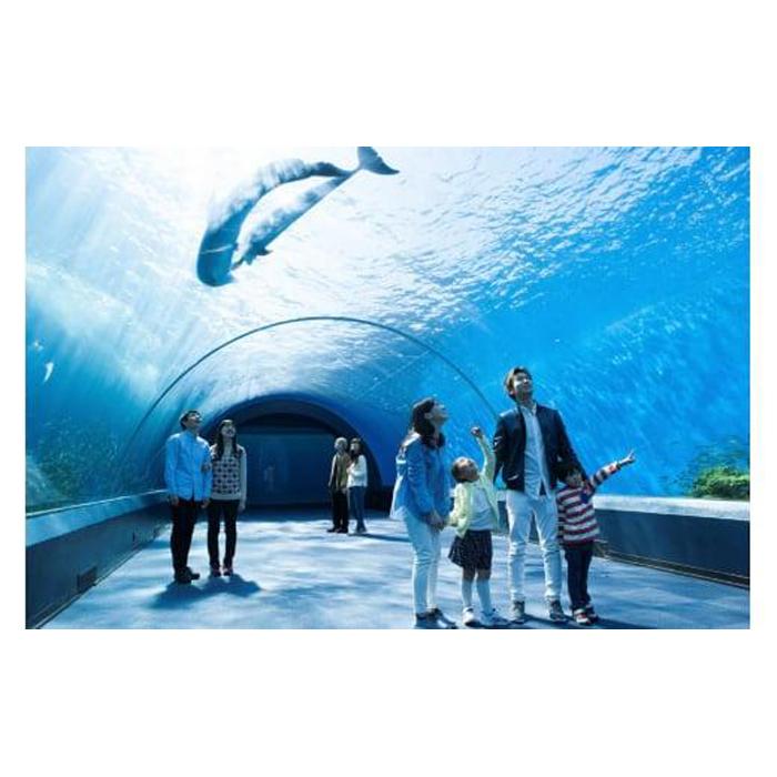 【ふるさと納税】横浜・八景島シーパラダイス　ワンデーパス（水族館4施設＋アトラクション）大人2名さま | 券 人気 おすすめ 送料無料