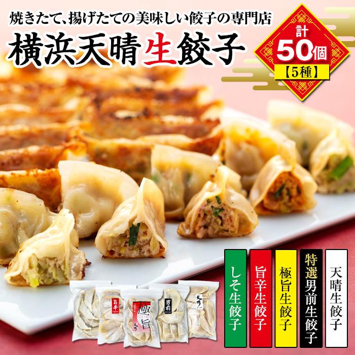 天晴バラエティセット(生餃子5種 計50個) | 食品 おかず 加工食品 中華総菜 人気 おすすめ 送料無料