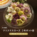 ガーデニング・農業人気ランク5位　口コミ数「10件」評価「4.5」「【ふるさと納税】クリスマスローズ 3号ポット苗 5本おみつくろいセット〈花光園〉 | クリスマスローズ ローズ 花 お花 はな フラワー 植物 プラント 園芸 栽培 苗 実生苗 人気 おすすめ 送料無料」