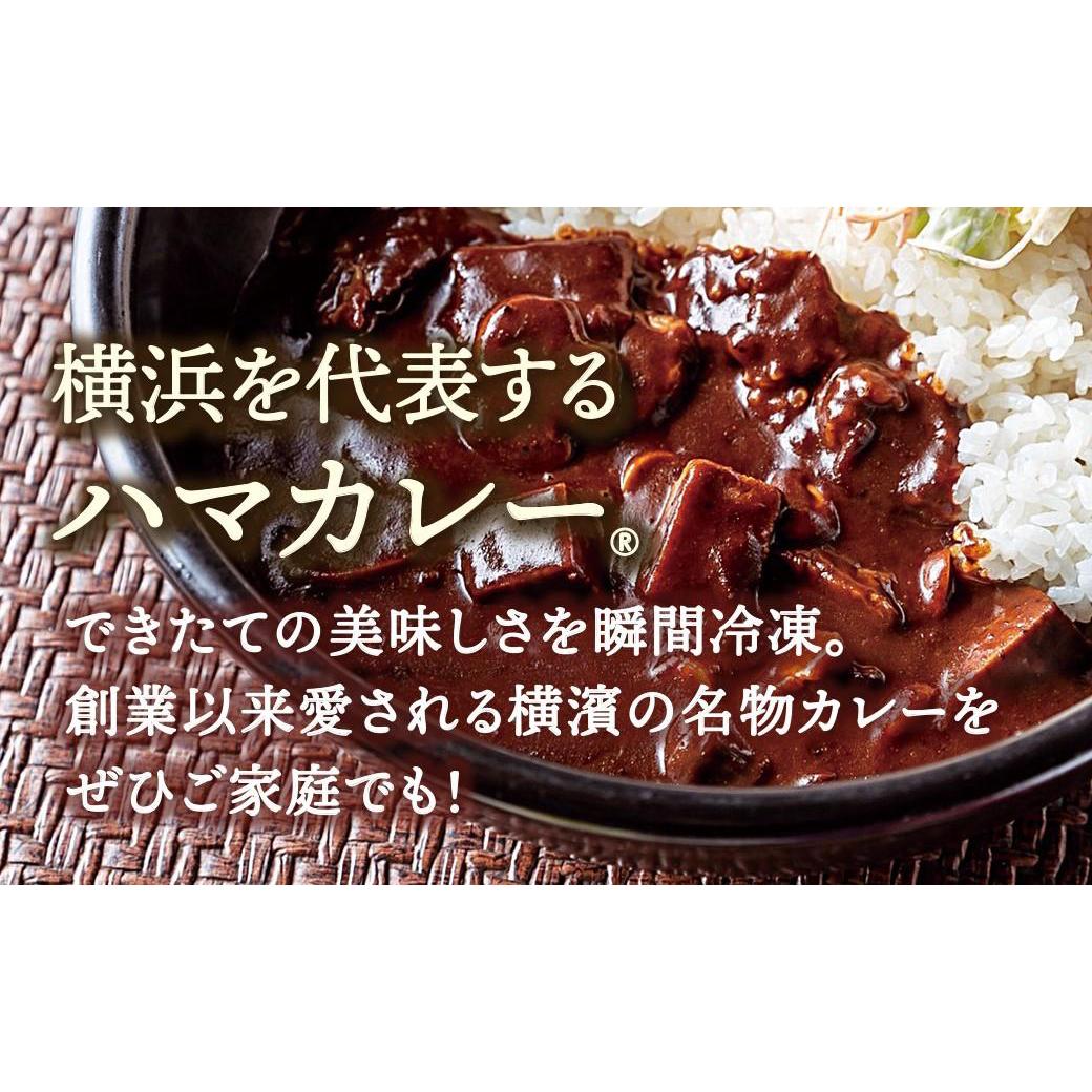 【ふるさと納税】サンアロハ「ハマカレー®　ビーフ　6個パック」 | カレー レトルト レトルトカレー ハマカレー サンアロハ スパイス 横浜 加工食品 食品 瞬間冷凍 セット おすすめ ギフト プレゼント