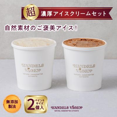 ハンデルスベーゲン無添加アイスクリーム/たっぷり入ったパイントサイズ2個入り(A・B・Cのセットより選択可) | お菓子 菓子 おかし スイーツ デザート 食品 人気 おすすめ 送料無料